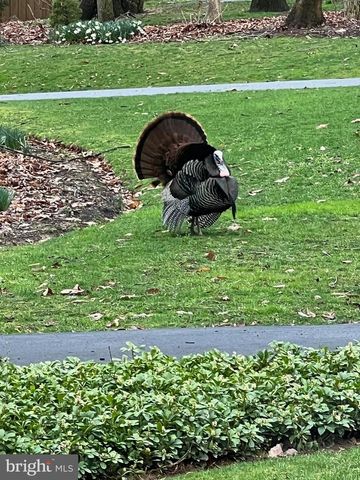 121 ANGELA DR, New Holland, PA 17557