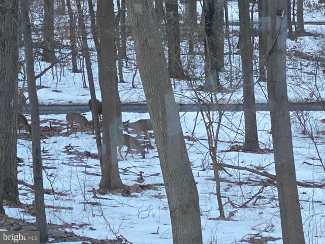 121 ANGELA DR, New Holland, PA 17557