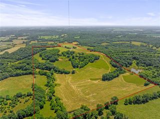 81 AC Mount Hebron Road, Odessa, MO 64076