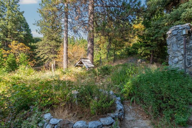 20309 Oak Dr, Pioneer, CA 95666