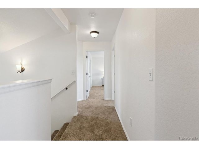 727 Elk Mountain Dr, Severance, CO 80550