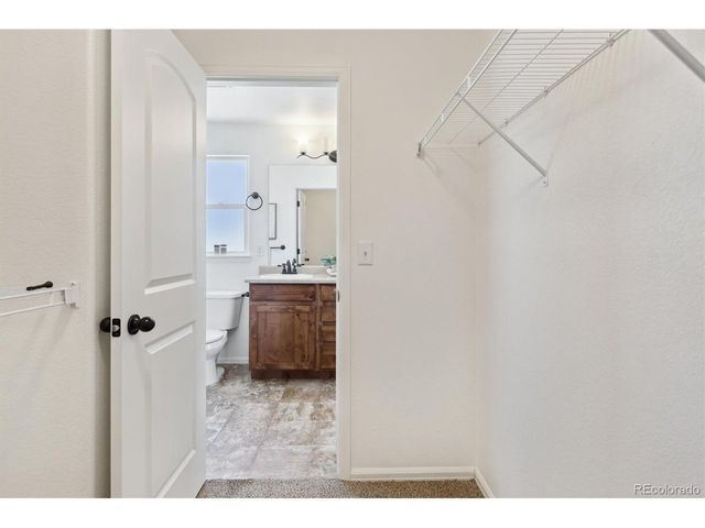 727 Elk Mountain Dr, Severance, CO 80550