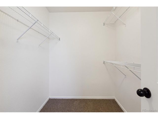 727 Elk Mountain Dr, Severance, CO 80550