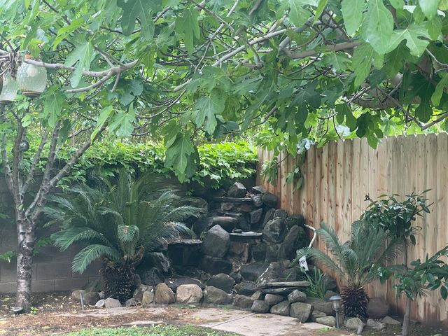 10022 Spring View Way, Elk Grove, CA 95757