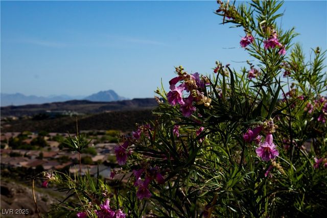 1596 Fieldbrook Street, Henderson, NV 89052