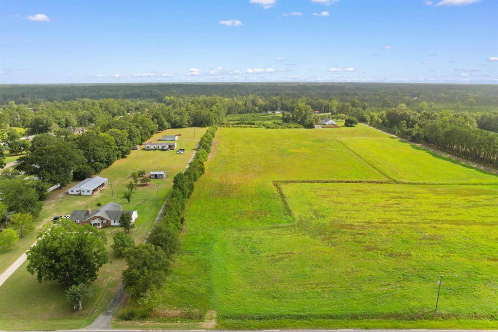 TBD Zion Rd., Galivants Ferry, SC 29544 — photo 2