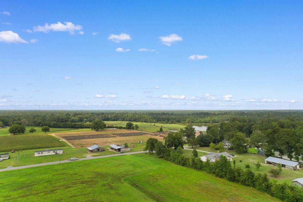 TBD Zion Rd., Galivants Ferry, SC 29544 — photo 4