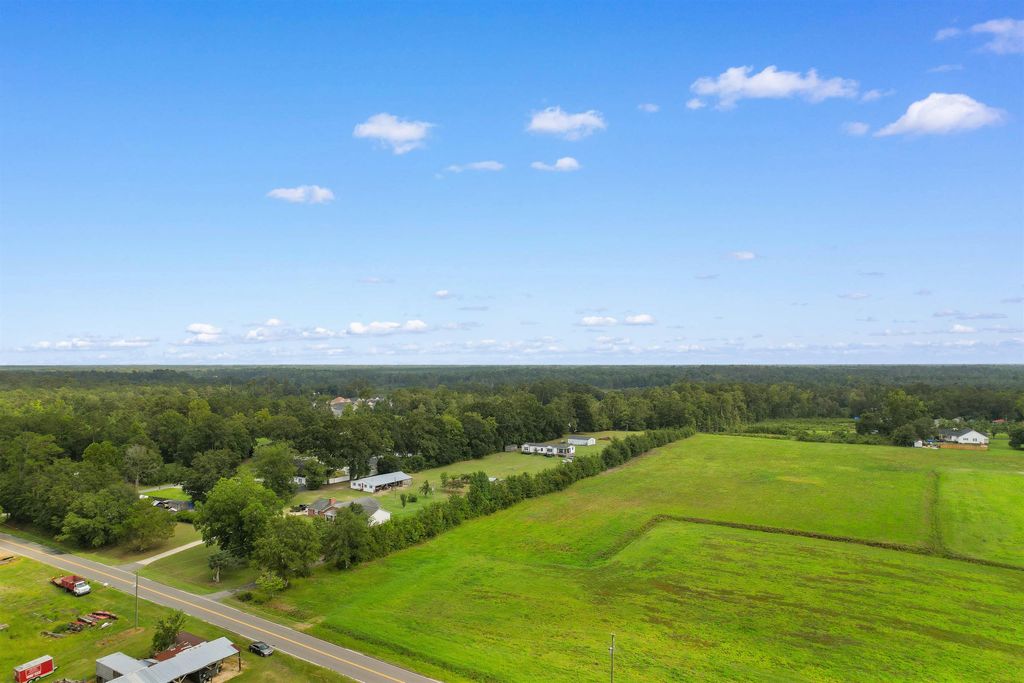 TBD Zion Rd., Galivants Ferry, SC 29544 — photo 5