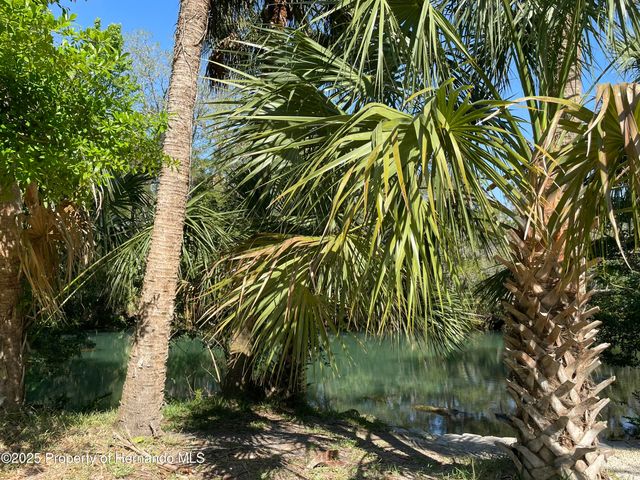 0 River Point, Weeki Wachee, FL 34607