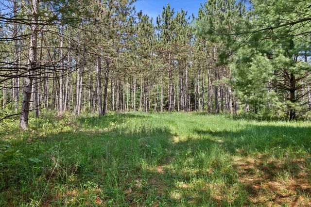 Lot 2 Chicago Avenue, Arkdale, WI 54613