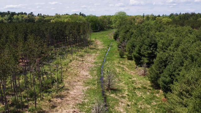 Lot 2 Chicago Avenue, Arkdale, WI 54613