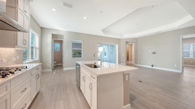 10123 HAMMOCK BROOK DRIVE, Parrish, FL 34219