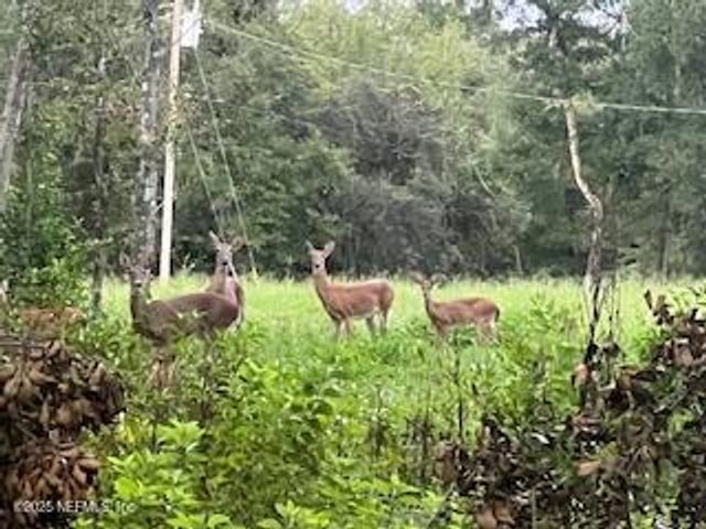 2134 FLINTLOCK Court, Green Cove Springs, FL 32043