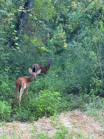 2134 FLINTLOCK Court, Green Cove Springs, FL 32043