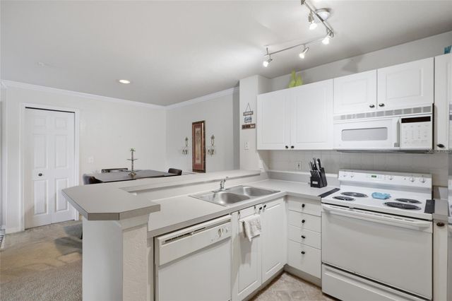4201 WOODSTORKS WALK WAY 3210, Lutz, FL 33558