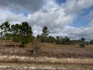 16375 NW 314th Street, Okeechobee, FL 34972