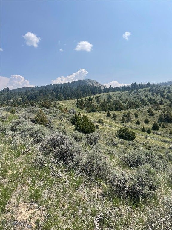 Lot 129 Round Pole Drive, Clarkston, MT 59752