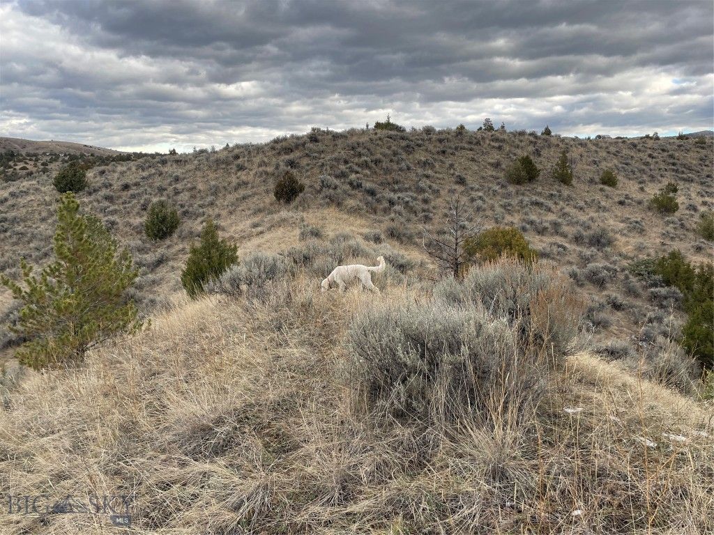 Lot 129 Round Pole Drive, Clarkston, MT 59752 photo 23