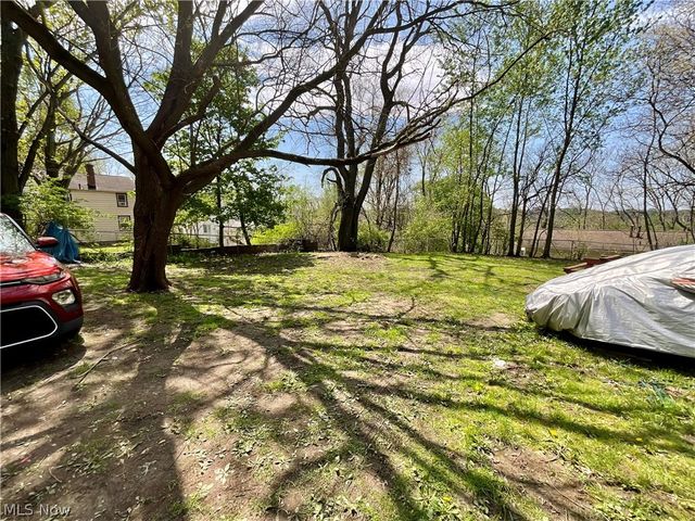 1102 Tonawanda Avenue, Akron, OH 44305