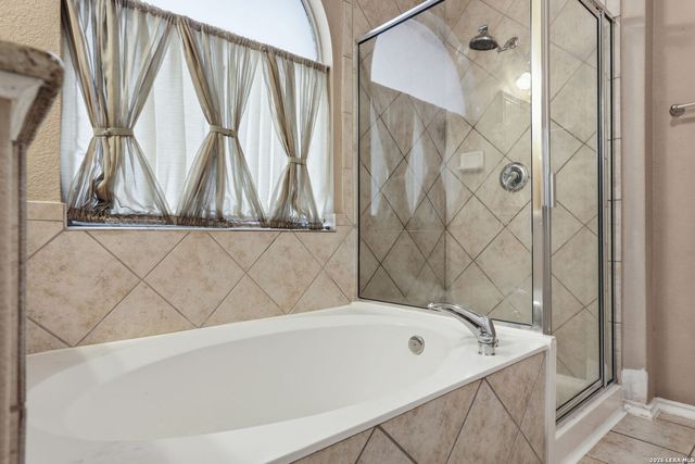 11610 BLUEBELLS RUN, San Antonio, TX 78245