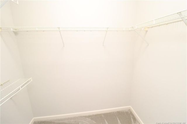 3013 Silky Dogwood Trail, Apex, NC 27502