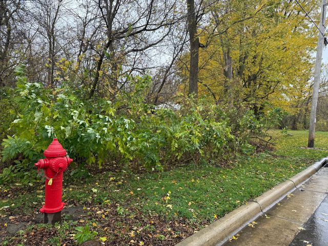 60x E. Main Street, Dodge Center, MN 55927