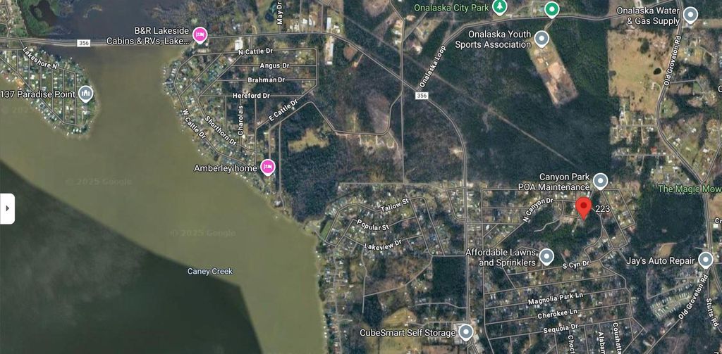 223 Live Oak Lane, Onalaska, TX 77360