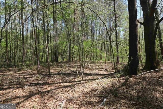 0 Old Conyers Road, Stockbridge, GA 30281