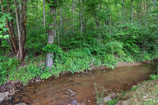 1139 Bearmeat Road, Hiawassee, GA 30546