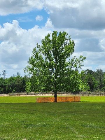 0 CHRISTIAN ROAD Lot 1, Dade City, FL 33523