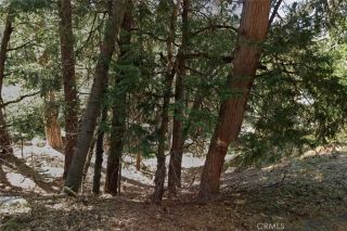 1 Crest Forest, Cedarpines Park, CA 92322