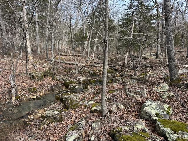 000 Highway Z, Vichy, MO 65580