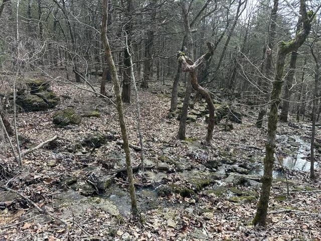 000 Highway Z, Vichy, MO 65580