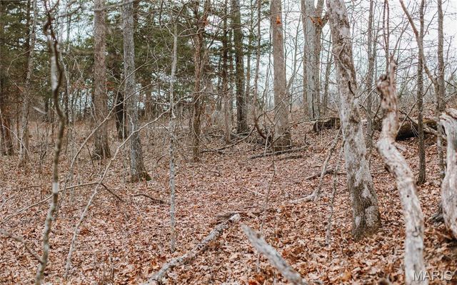 000 Highway Z, Vichy, MO 65580