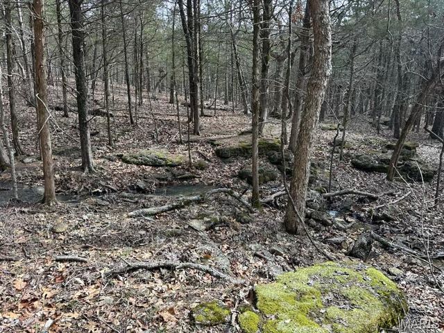 000 Highway Z, Vichy, MO 65580