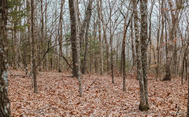 000 Highway Z, Vichy, MO 65580