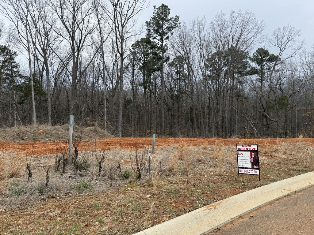 0 Liberty Park, Clarksville, TN 37042