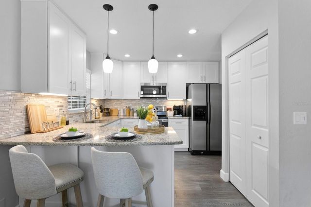 14009 DOMINION COURT, Tampa, FL 33613