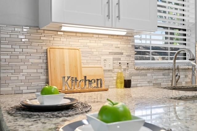 14009 DOMINION COURT, Tampa, FL 33613