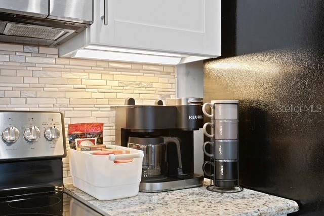 14009 DOMINION COURT, Tampa, FL 33613