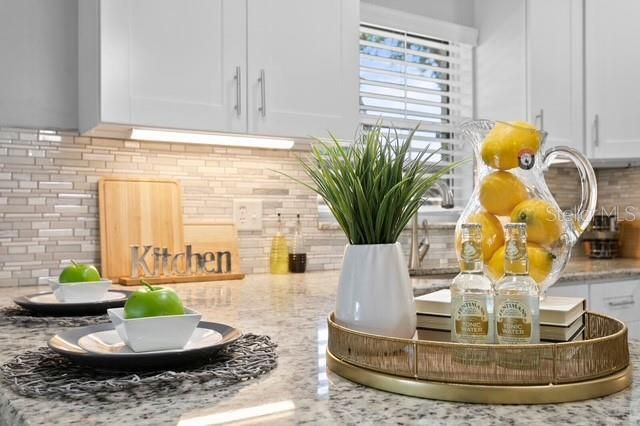 14009 DOMINION COURT, Tampa, FL 33613