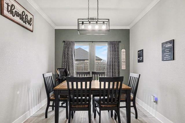 2313 Camryn Street, Mabank, TX 75147