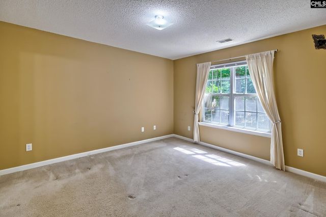 3 Careton Court, Chapin, SC 29036