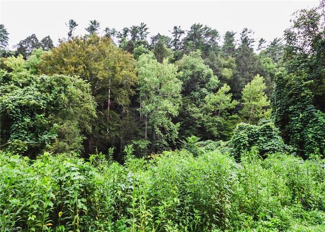 TBD Ruritan Park Road, North Wilkesboro, NC 28659