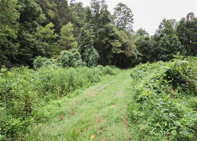 TBD Ruritan Park Road, North Wilkesboro, NC 28659