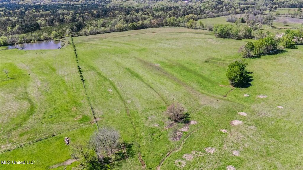 722 Laws Hill Road, Holly Springs, MS 38635 — photo 5