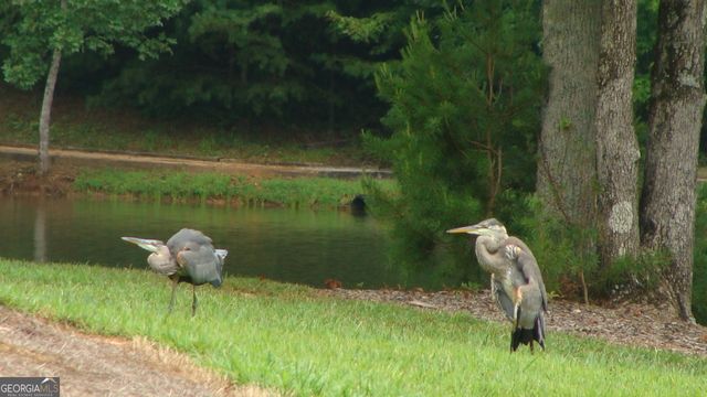 227 Chimney Oaks Trail, Cleveland, GA 30528