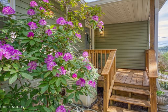 7822 Fersner Rd, Powell, TN 37849
