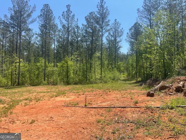 0 Weaver Jones Tract 10B, Rutledge, GA 30663