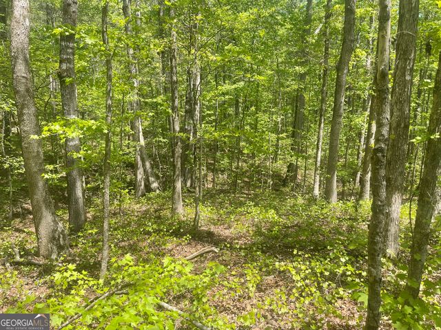 0 Weaver Jones Tract 10B, Rutledge, GA 30663